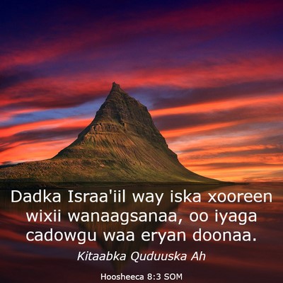 Picture 03 - Hoosheeca 8:3 SOM - Dadka Israa'iil way iska xooreen wixii - Bible Verse Picture