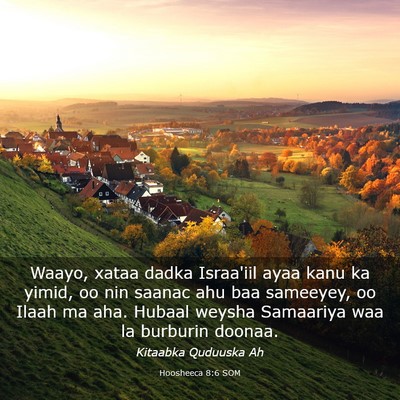 Picture 03 - Hoosheeca 8:6 SOM - Waayo, xataa dadka Israa'iil ayaa kanu ka yimid, - Bible Verse Picture