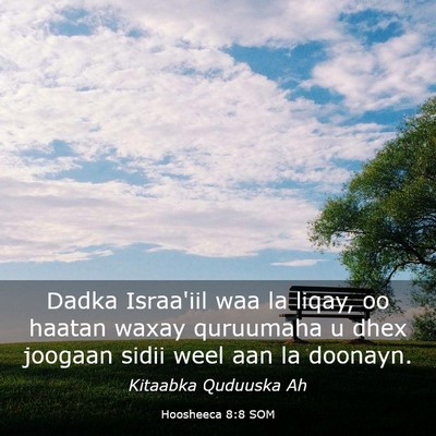 Picture 03 - Hoosheeca 8:8 SOM - Dadka Israa'iil waa la liqay, oo haatan waxay - Bible Verse Picture