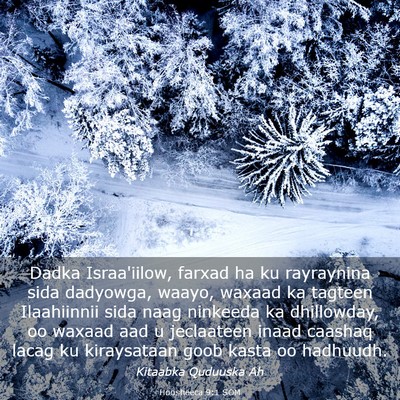 Picture 03 - Hoosheeca 9:1 SOM - Dadka Israa'iilow, farxad ha ku rayraynina sida - Bible Verse Picture