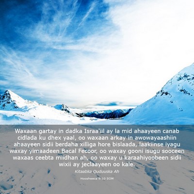 Picture 03 - Hoosheeca 9:10 SOM - Waxaan gartay in dadka Israa'iil ay la mid - Bible Verse Picture