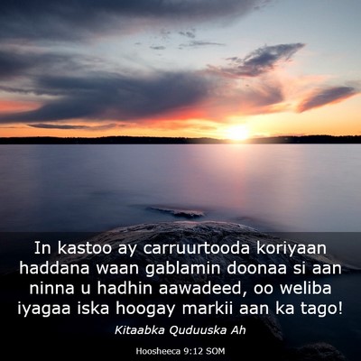 Picture 03 - Hoosheeca 9:12 SOM - In kastoo ay carruurtooda koriyaan haddana waan - Bible Verse Picture