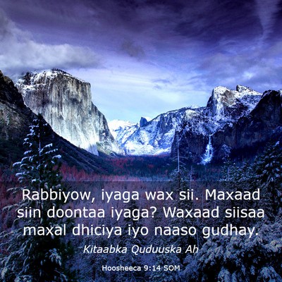 Picture 03 - Hoosheeca 9:14 SOM - Rabbiyow, iyaga wax sii. Maxaad siin doontaa - Bible Verse Picture