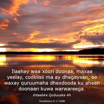 Picture 03 - Hoosheeca 9:17 SOM - Ilaahay waa xoori doonaa, maxaa yeelay, codkiisii - Bible Verse Picture
