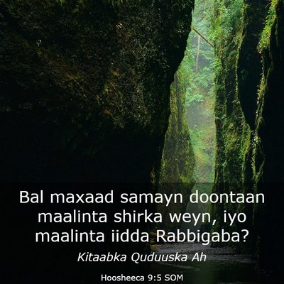 Picture 03 - Hoosheeca 9:5 SOM - Bal maxaad samayn doontaan maalinta shirka weyn, - Bible Verse Picture