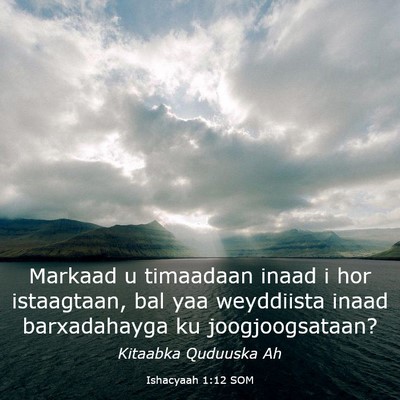 Picture 03 - Ishacyaah 1:12 SOM - Markaad u timaadaan inaad i hor istaagtaan, bal - Bible Verse Picture