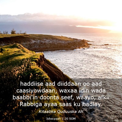 Picture 03 - Ishacyaah 1:20 SOM - haddiise aad diiddaan oo aad caasiyowdaan, waxaa - Bible Verse Picture