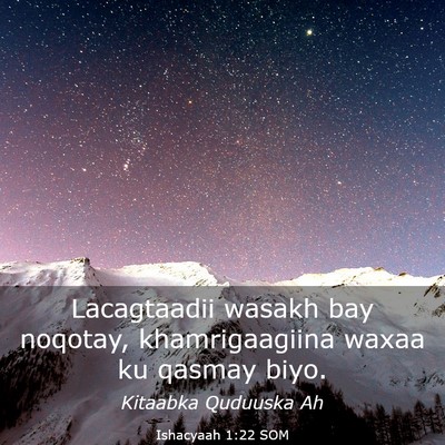 Picture 03 - Ishacyaah 1:22 SOM - Lacagtaadii wasakh bay noqotay, khamrigaagiina - Bible Verse Picture