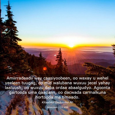 Picture 03 - Ishacyaah 1:23 SOM - Amiirradaadii way caasiyoobeen, oo waxay u wehel - Bible Verse Picture