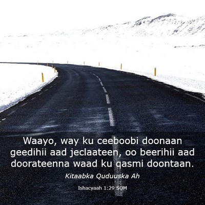 Picture 03 - Ishacyaah 1:29 SOM - Waayo, way ku ceeboobi doonaan geedihii aad - Bible Verse Picture