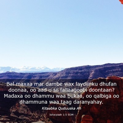 Picture 03 - Ishacyaah 1:5 SOM - Bal maxaa mar dambe wax laydiinku dhufan doonaa, - Bible Verse Picture
