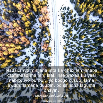 Picture 03 - Ishacyaah 1:6 SOM - Madaxa iyo minjaha inta ka dhex leh innaba - Bible Verse Picture