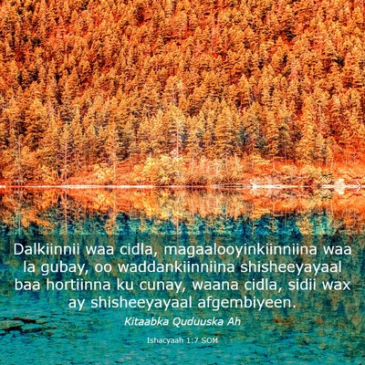 Picture 03 - Ishacyaah 1:7 SOM - Dalkiinnii waa cidla, magaalooyinkiinniina waa la - Bible Verse Picture