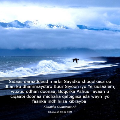 Picture 03 - Ishacyaah 10:12 SOM - Sidaas daraaddeed markii Sayidku shuqulkiisa oo - Bible Verse Picture
