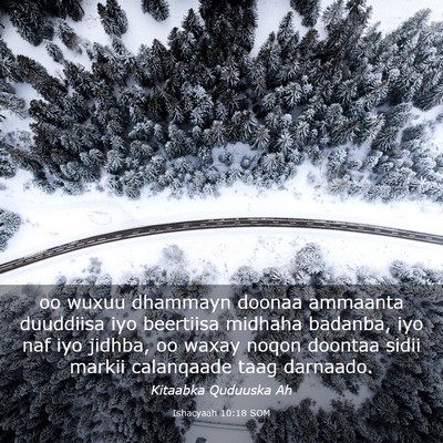 Picture 03 - Ishacyaah 10:18 SOM - oo wuxuu dhammayn doonaa ammaanta duuddiisa iyo - Bible Verse Picture