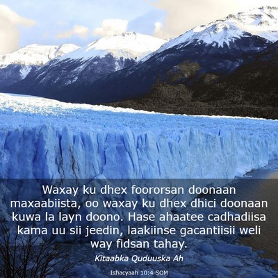 Picture 03 - Ishacyaah 10:4 SOM - Waxay ku dhex foororsan doonaan maxaabiista, oo - Bible Verse Picture