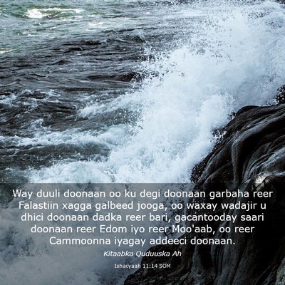 Picture 03 - Ishacyaah 11:14 SOM - Way duuli doonaan oo ku degi doonaan garbaha reer - Bible Verse Picture