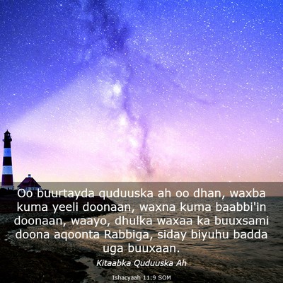 Picture 03 - Ishacyaah 11:9 SOM - Oo buurtayda quduuska ah oo dhan, waxba kuma - Bible Verse Picture