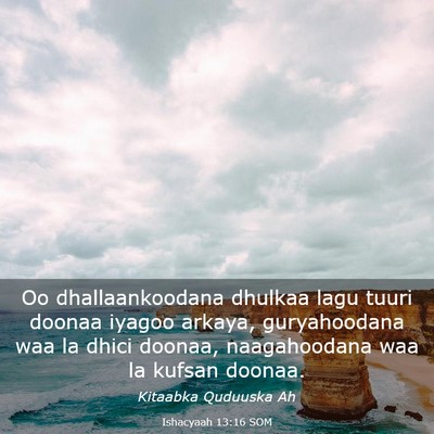 Picture 03 - Ishacyaah 13:16 SOM - Oo dhallaankoodana dhulkaa lagu tuuri doonaa - Bible Verse Picture