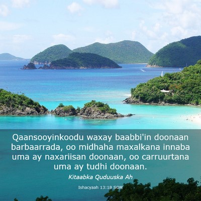 Picture 03 - Ishacyaah 13:18 SOM - Qaansooyinkoodu waxay baabbi'in doonaan - Bible Verse Picture