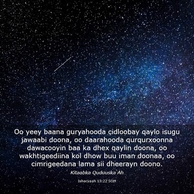Picture 03 - Ishacyaah 13:22 SOM - Oo yeey baana guryahooda cidloobay qaylo isugu - Bible Verse Picture