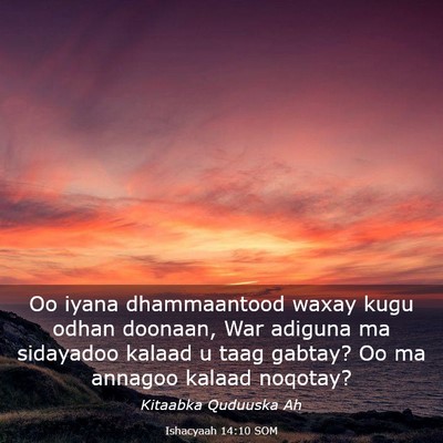 Picture 03 - Ishacyaah 14:10 SOM - Oo iyana dhammaantood waxay kugu odhan doonaan, - Bible Verse Picture