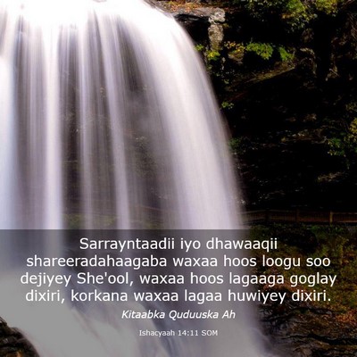 Picture 03 - Ishacyaah 14:11 SOM - Sarrayntaadii iyo dhawaaqii shareeradahaagaba - Bible Verse Picture