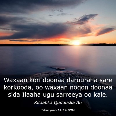 Picture 03 - Ishacyaah 14:14 SOM - Waxaan kori doonaa daruuraha sare korkooda, oo - Bible Verse Picture