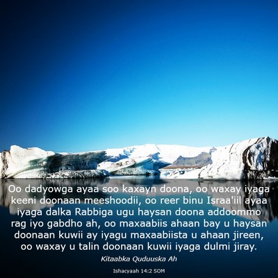 Picture 03 - Ishacyaah 14:2 SOM - Oo dadyowga ayaa soo kaxayn doona, oo waxay iyaga - Bible Verse Picture