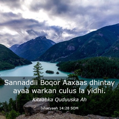 Picture 03 - Ishacyaah 14:28 SOM - Sannaddii Boqor Aaxaas dhintay ayaa warkan culus - Bible Verse Picture