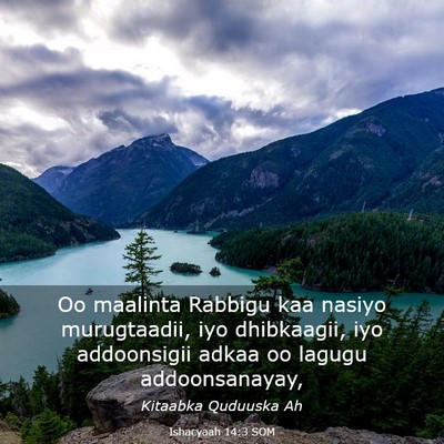 Picture 03 - Ishacyaah 14:3 SOM - Oo maalinta Rabbigu kaa nasiyo murugtaadii, iyo - Bible Verse Picture