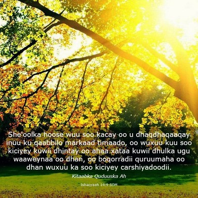Picture 03 - Ishacyaah 14:9 SOM - She'oolka hoose wuu soo kacay oo u dhaqdhaqaaqay - Bible Verse Picture
