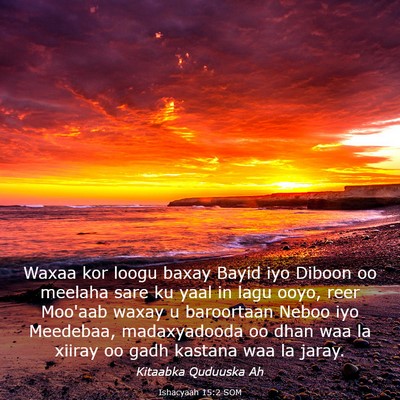 Picture 03 - Ishacyaah 15:2 SOM - Waxaa kor loogu baxay Bayid iyo Diboon oo meelaha - Bible Verse Picture