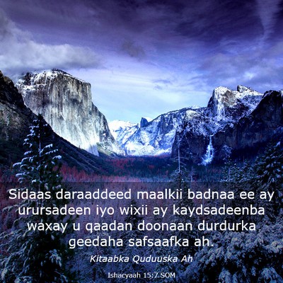 Picture 03 - Ishacyaah 15:7 SOM - Sidaas daraaddeed maalkii badnaa ee ay urursadeen - Bible Verse Picture