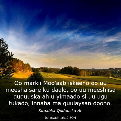 Picture 03 - Ishacyaah 16:12 SOM - Oo markii Moo'aab iskeeno oo uu meesha sare ku - Bible Verse Picture