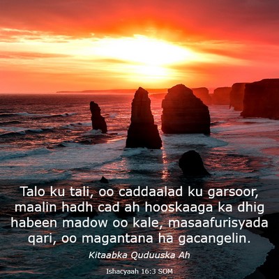Picture 03 - Ishacyaah 16:3 SOM - Talo ku tali, oo caddaalad ku garsoor, maalin - Bible Verse Picture