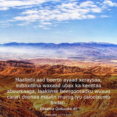 Picture 03 - Ishacyaah 17:11 SOM - Maalintii aad beerto ayaad xeraysaa, subaxdiina - Bible Verse Picture