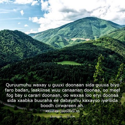 Picture 03 - Ishacyaah 17:13 SOM - Quruumuhu waxay u guuxi doonaan sida guuxa biyo - Bible Verse Picture