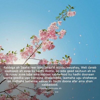 Picture 03 - Ishacyaah 17:6 SOM - Rabbiga ah Ilaaha reer binu Israa'iil wuxuu - Bible Verse Picture