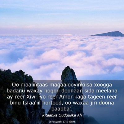 Picture 03 - Ishacyaah 17:9 SOM - Oo maalintaas magaalooyinkiisa xoogga badanu - Bible Verse Picture