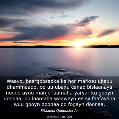 Picture 03 - Ishacyaah 18:5 SOM - Waayo, beergoosadka ka hor markuu ubaxu - Bible Verse Picture