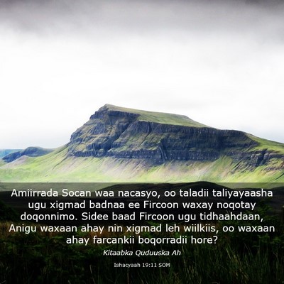 Picture 03 - Ishacyaah 19:11 SOM - Amiirrada Socan waa nacasyo, oo taladii - Bible Verse Picture