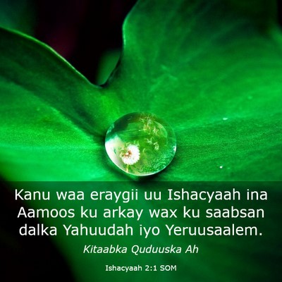 Picture 03 - Ishacyaah 2:1 SOM - Kanu waa eraygii uu Ishacyaah ina Aamoos ku arkay - Bible Verse Picture