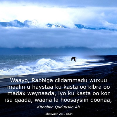Picture 03 - Ishacyaah 2:12 SOM - Waayo, Rabbiga ciidammadu wuxuu maalin u haystaa - Bible Verse Picture