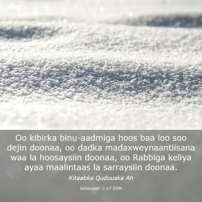 Picture 03 - Ishacyaah 2:17 SOM - Oo kibirka binu-aadmiga hoos baa loo soo dejin - Bible Verse Picture