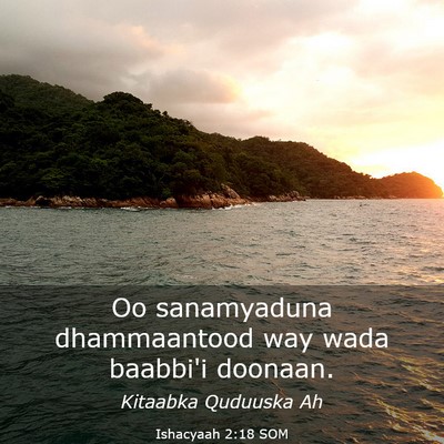 Picture 03 - Ishacyaah 2:18 SOM - Oo sanamyaduna dhammaantood way wada baabbi'i - Bible Verse Picture