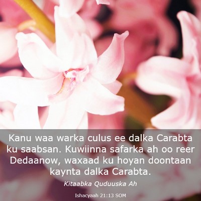 Picture 03 - Ishacyaah 21:13 SOM - Kanu waa warka culus ee dalka Carabta ku saabsan. - Bible Verse Picture