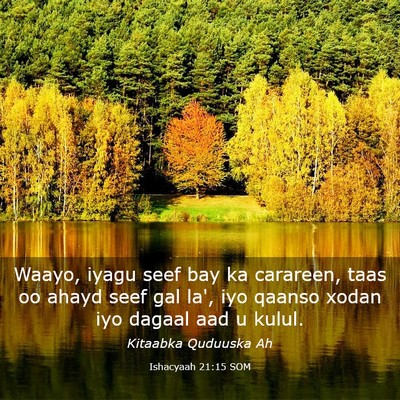 Picture 03 - Ishacyaah 21:15 SOM - Waayo, iyagu seef bay ka carareen, taas oo ahayd - Bible Verse Picture