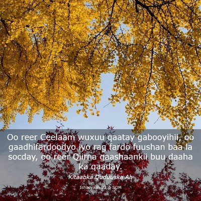 Picture 03 - Ishacyaah 22:6 SOM - Oo reer Ceelaam wuxuu qaatay gabooyihii, oo - Bible Verse Picture