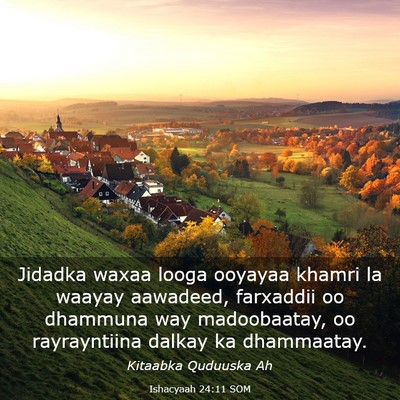 Picture 03 - Ishacyaah 24:11 SOM - Jidadka waxaa looga ooyayaa khamri la waayay - Bible Verse Picture